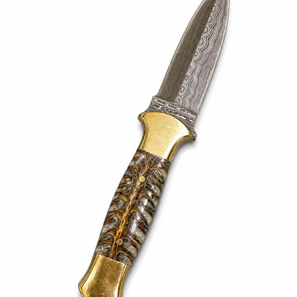 Hand-Forged Damascus Steel Clip Point Camping Knife – Ram's Horn Handle with Brass Guard & Hand-Tooled Leather Sheath TKT-5