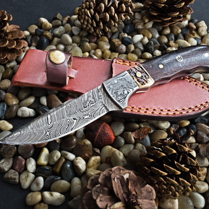 Damascus Steel Fixed Blade Knife with Walnut & Stag Horn Handle Hunting Knife TD-159