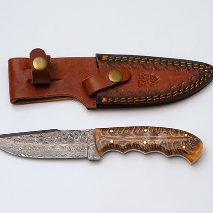 Handmade Damascus Steel "Gecko" Fixed Blade Knife with Amber Resin Pine Cone Resin Handle | Hunting, Camping &amp; Collectible Knife - TK-443