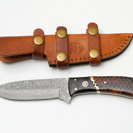 Hand-Forged Damascus Hunter | Amber Honeycomb & Black Wood Handle | Scout Carry Sheath TK-478