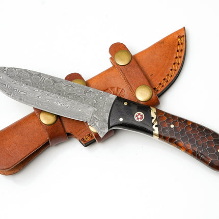 Hand-Forged Damascus Hunter | Amber Honeycomb & Black Wood Handle | Scout Carry Sheath TK-478