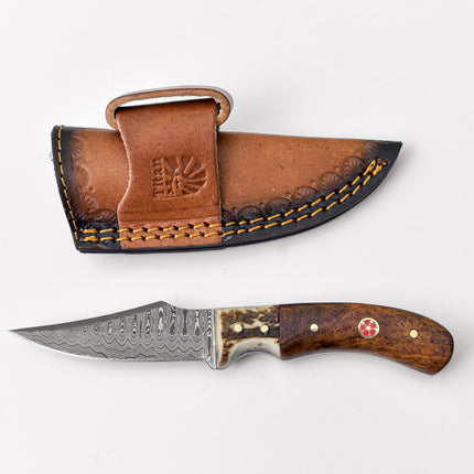 Damascus Steel Skinner Knife, Stag & Walnut Grip Td-340