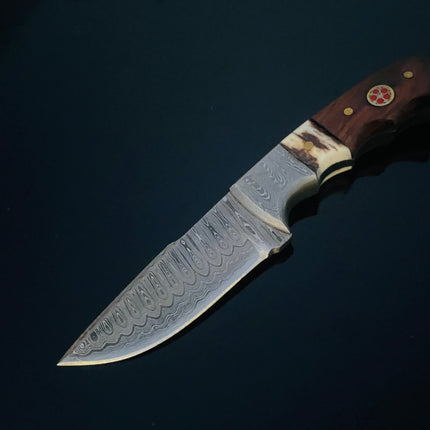 DAMASCUS STEEL FIXED BLADE KNIFE WITH WALNUT & STAG HORN HANDLE HUNTING KNIFE MINI TD-159X