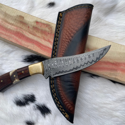 CUSTOM HANDMADE FORGED DAMASCUS STEEL HUNTING KNIFE BLADE WITH BLACK WALNUT AND STAG HORN SCALES TK-058