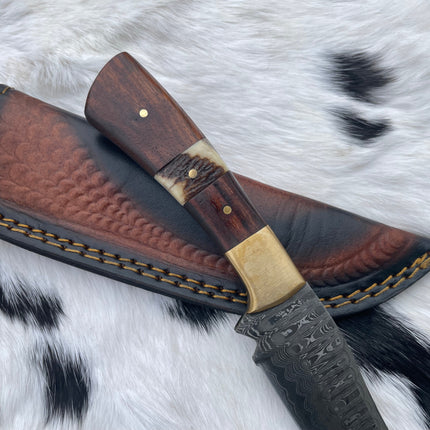 CUSTOM HANDMADE FORGED DAMASCUS STEEL HUNTING KNIFE BLADE WITH BLACK WALNUT AND STAG HORN SCALES TK-058