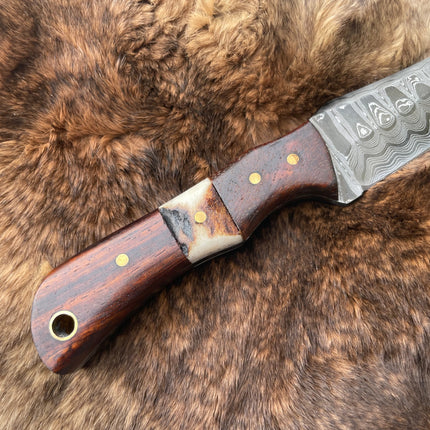 Introducing the TK-060 Damascus Steel Skinner Knife with Rosewood & Stag Grip