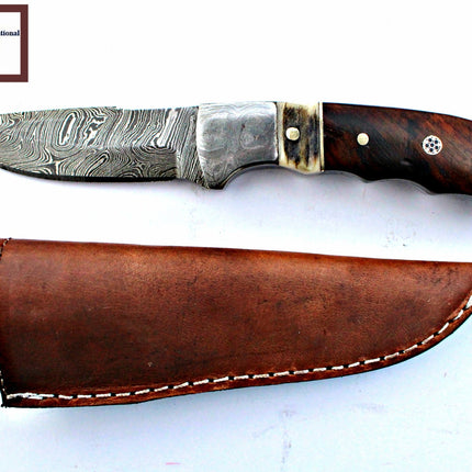 Damascus Steel Fixed Blade Knife with Walnut & Stag Horn Handle Hunting Knife TD-159