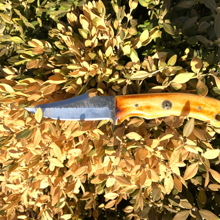 Carbon Skinning/Hunting Knife TC-59