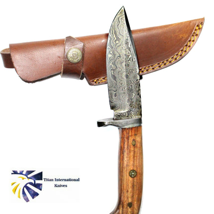 DAMASCUS KNIFE/ Camp/ Hunting Knife / Rose Wood Handel TD-174
