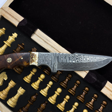 Damascus Steel Fixed Blade Knife with Walnut & Stag Horn Handle Hunting Knife TD-159