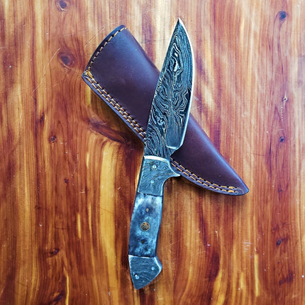 TD-005