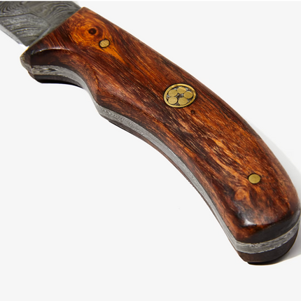 Damascus Steel Skinner Knife,Rosewood Grip Td-177