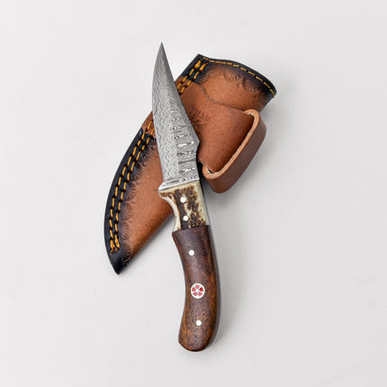 Damascus Steel Skinner Knife, Stag & Walnut Grip Td-340