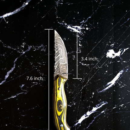 Custom Pointer- Damascus knife/ Sharp point/ Hunting/ EDC