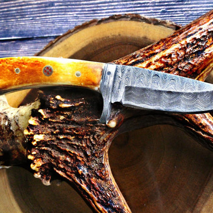 Damascus Steel Fixed Blade hunting Knife with Damascus Hilt Drop Point Hunter TD-077