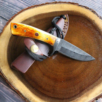 Damascus Steel Fixed Blade hunting Knife with Damascus Hilt Drop Point Hunter TD-077