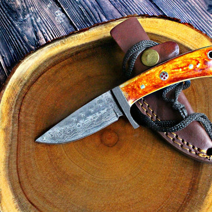 Damascus Steel Fixed Blade hunting Knife with Damascus Hilt Drop Point Hunter TD-077