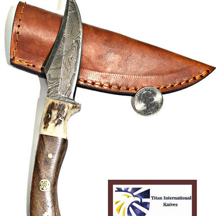 Damascus Steel Skinner Knife, Stag & Walnut Grip Td-340