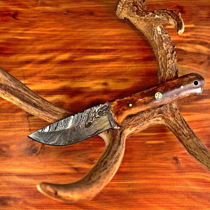 Damascus Knife, Custom Hand Made Forged Damascus Steel Hunting Knife Fixed Blade Camp Style Handle With Leather Sheath Full Tang TD-238